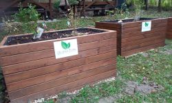 Projekt „s chuťou do záhrady“ v rámci environmentálneho programu zelené oči - 244642192 303031767849875 2759611723686304094 n